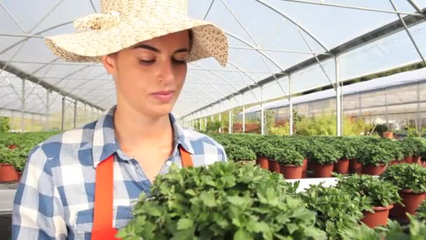 Lachende vrouw in kas met planten — Stockvideo