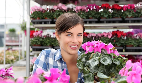 Mosolygó nő, az üvegházhatást okozó növények, Ciklámen — Stock Fotó