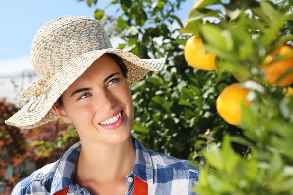 Wanita tersenyum, cabang dengan mandarin di pohon di kebun — Stok Foto