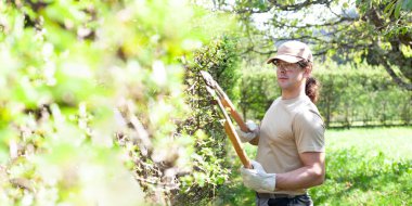 Genç bir adam yeşil bir çiti parlak, yemyeşil bir baharda kesicilerle buduyor. Mevsimlik bahçe bakımı, baharda bahçe bakımı ve bitki bakımıyla ilgili açık hava işleri.