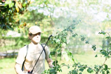 Genç bir adam bir bitkiyi parlak, yemyeşil bir bahar bahçesine pompa spreyiyle püskürtür. Mevsimlik bahçe bakımı bitki bakımı, sulama ve haşere koruma üzerine odaklanmıştır..