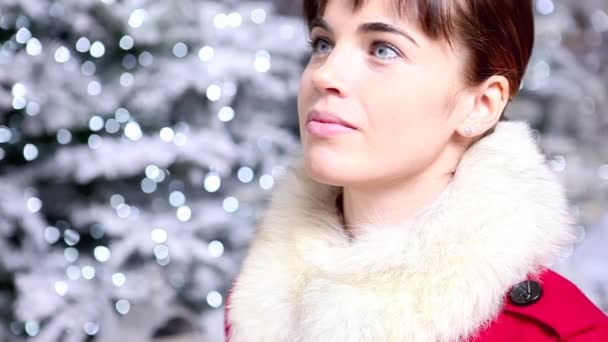 Noel Baba dekorasyon alışveriş Noel kadın — Stok video