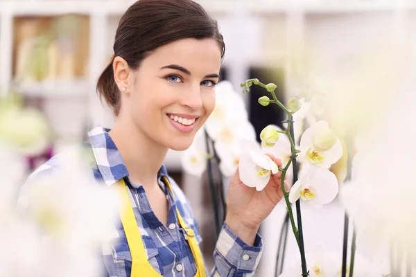 Florista mujer sonriendo con flores orquídeas — Foto de Stock