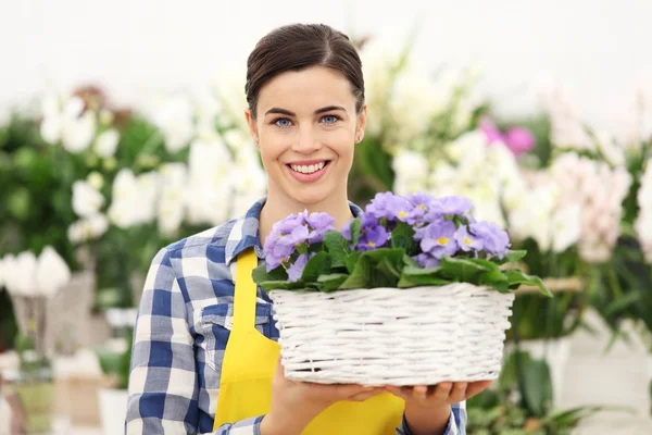 Florista mulher sorrindo com flores cesta de vime branco de prímulas roxas — Fotografia de Stock