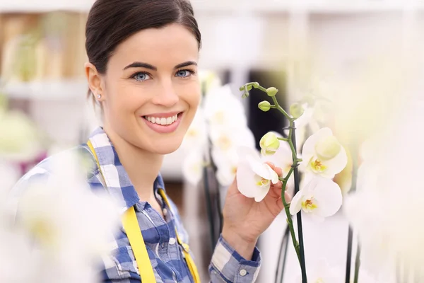 Florista mujer sonriendo con flores orquídeas — Foto de Stock