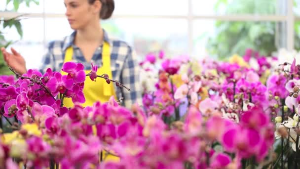 Mulher no jardim das flores, toca uma orquídea e sorrindo — Vídeo de Stock