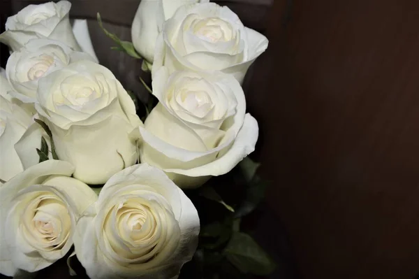 Białe Pąki Róż Zbliżenie Białym Stole — Zdjęcie stockowe