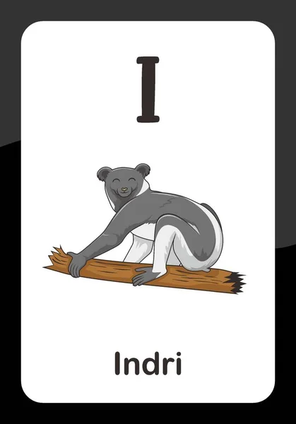 Animal Alphabet Flash Card Για Την Εικόνα Διάνυσμα Indri — Διανυσματικό Αρχείο