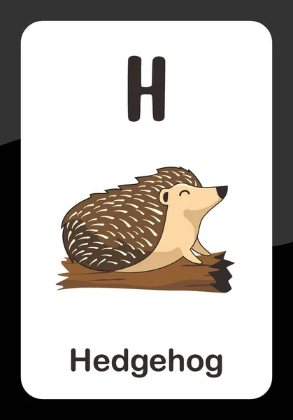 Animal Alphabet Flash Cards Für Igel Vektorbild — Stockvektor