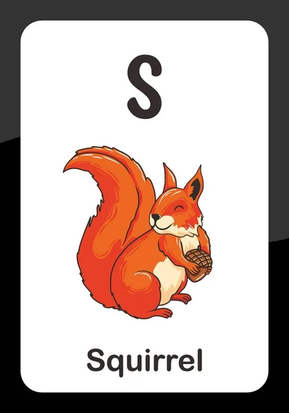 Animal Alphabet Flash Card Για Σκίουρο — Διανυσματικό Αρχείο