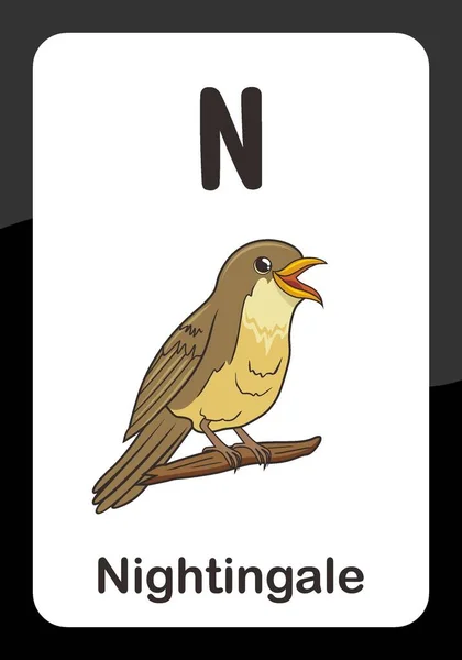 Κάρτα Flash Animal Alphabet Για Διανυσματική Εικόνα Nightingale — Διανυσματικό Αρχείο