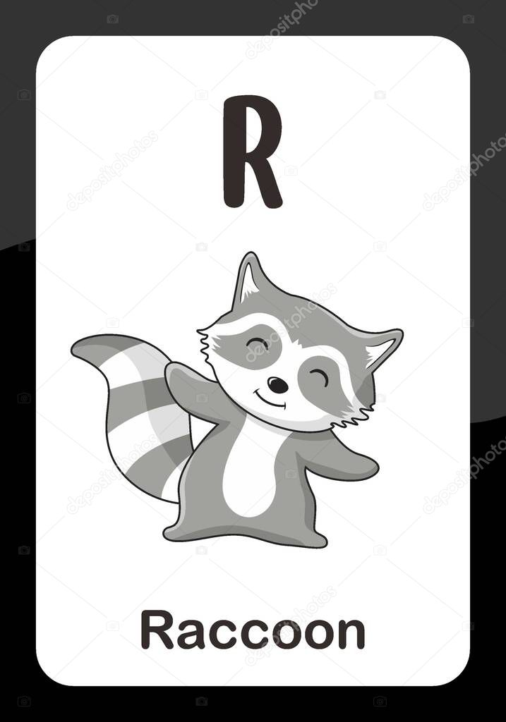Animal Alphabet Flash Card - R for Raccoon Vector Image