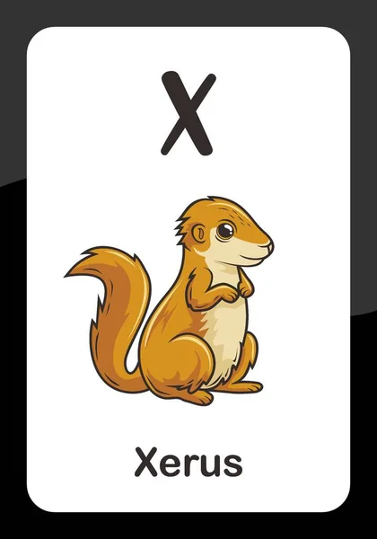 Animal Alphabet Flash Card Για Xerus — Διανυσματικό Αρχείο