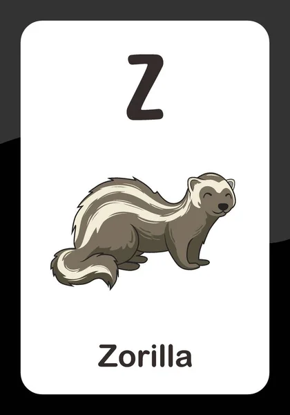 動物のアルファベットフラッシュカード Zorilla用 — ストックベクタ