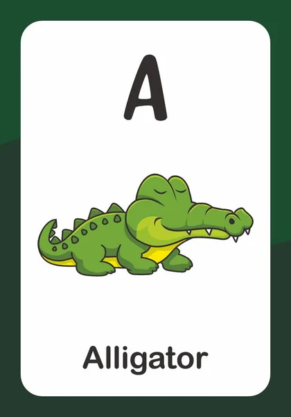Zvířecí Abeceda Flash Card Jako Aligátor — Stockový vektor