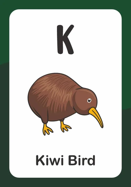 Dierenalfabet Flash Card Voor Kiwi Bird — Stockvector