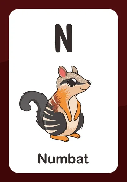 Animal Alphabet Flashcard Για Numbat — Διανυσματικό Αρχείο