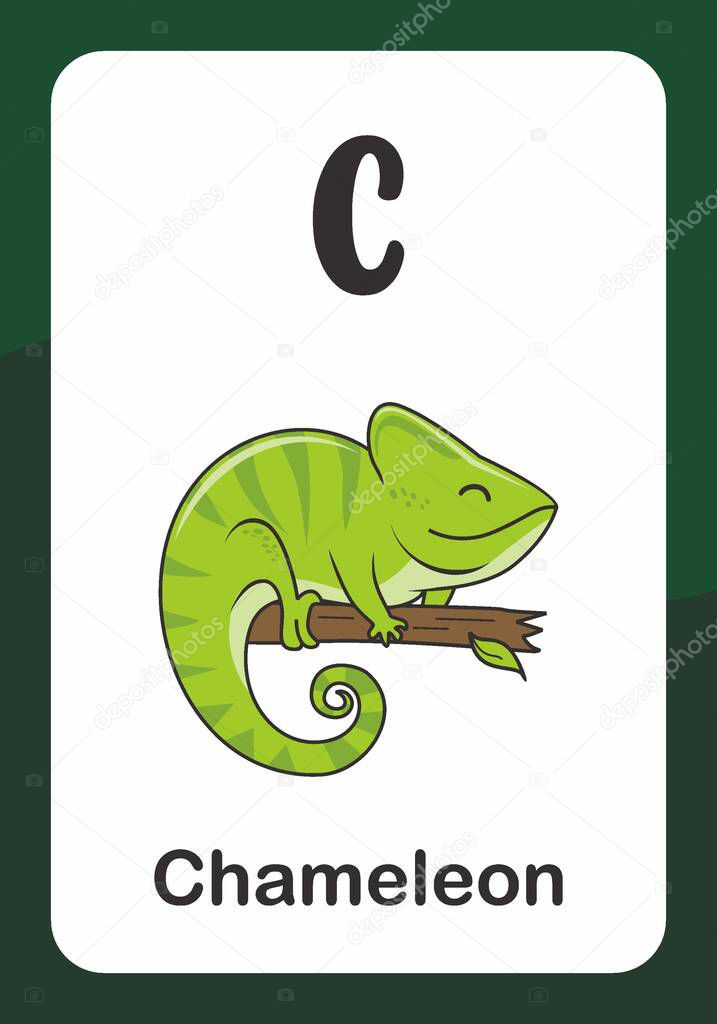 Animal Alphabet Flash Card - C for Chameleon