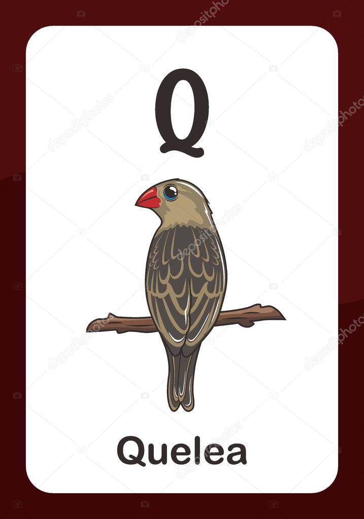 Animal Alphabet Flashcard - Q for Quelea bird