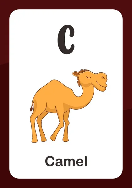 Ζωικό Αλφάβητο Flashcard Για Καμήλα — Διανυσματικό Αρχείο