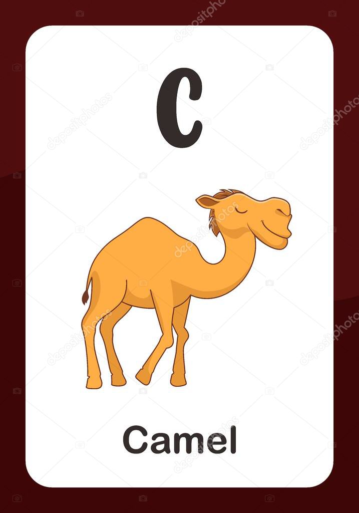 Animal Alphabet Flashcard C for Camel