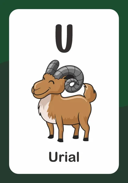 Animal Alphabet Flash Card Για Urial — Διανυσματικό Αρχείο