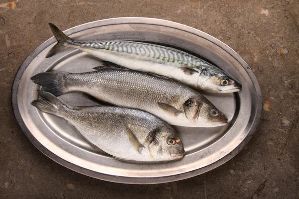 Seleção de peixes frescos em prato de metal — Fotografia de Stock