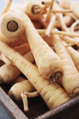 ahşap plaka genç yaban havucu