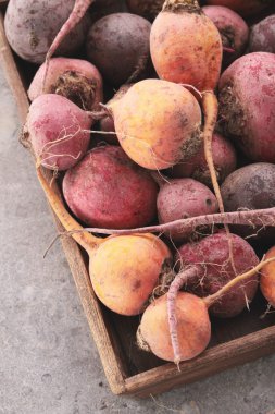 pancar seçimi ahşap plaka