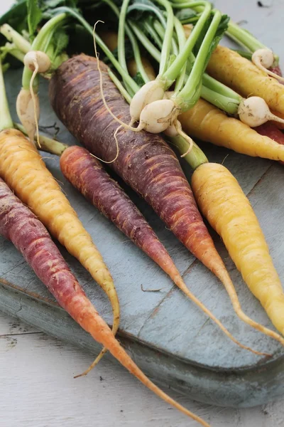 Zanahorias chantenay patrimonio — Foto de Stock