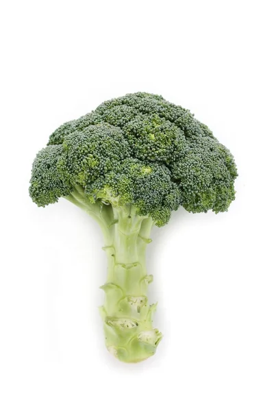 Fresh broccoli isolated — Stock Photo, Image