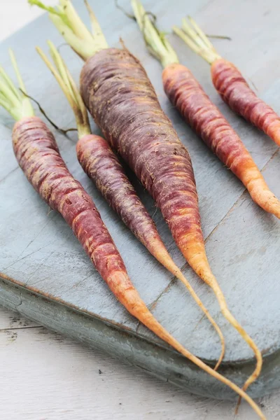 Zanahorias chantenay patrimonio — Foto de Stock