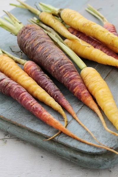 Zanahorias chantenay patrimonio — Foto de Stock