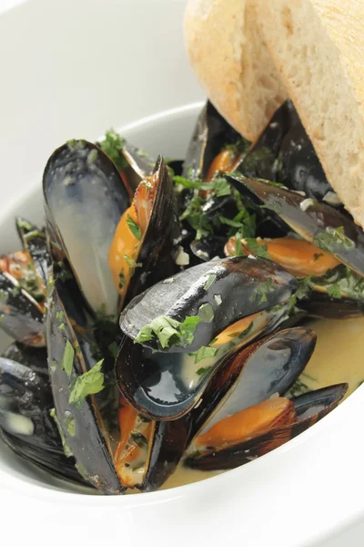 Cooked mussels moules marinier — Stock Photo, Image