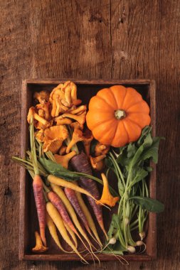 mevsim sonbahar sebzeleri