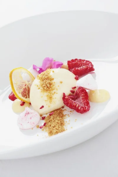 Postre panna cotta — Foto de Stock