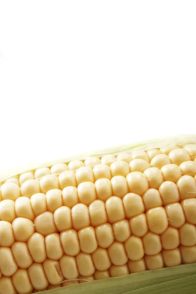 Fresh sweetcorn cob — Stock Photo, Image