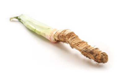 mandalina kök sebze