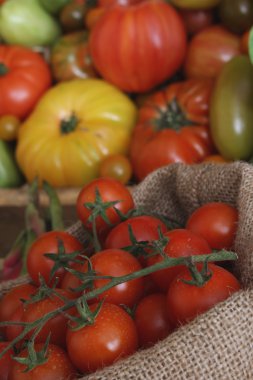 Taze olgun domatesler