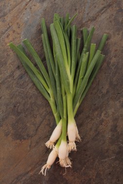fresh spring onions on slate clipart
