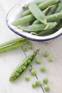 bakla taze Bahçe bezelye