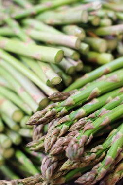 taze kuşkonmaz spears