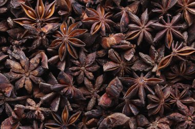 yıldız anason baharat