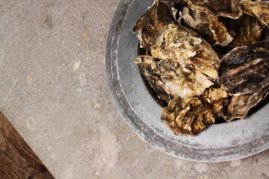 taze kapalı istiridye