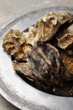 taze kapalı istiridye