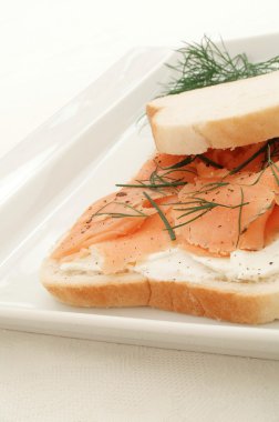 sandviç seçimi portre