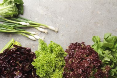 taze çekilen tüm marul çeşitleri