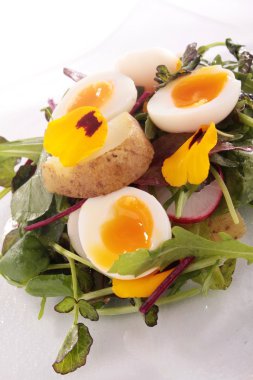 Bıldırcın yumurta salatası patates