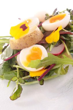Bıldırcın yumurta salatası patates