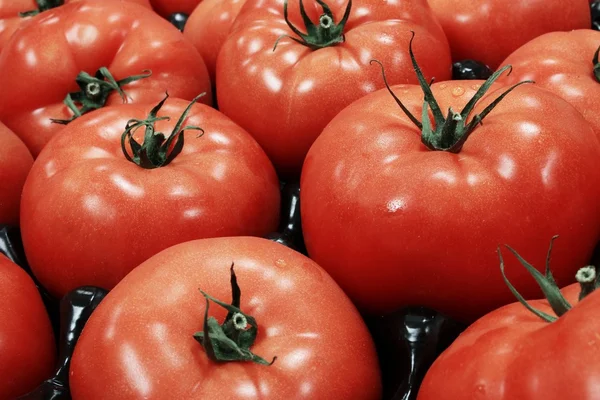 Rijpe rode tomaten — Stockfoto